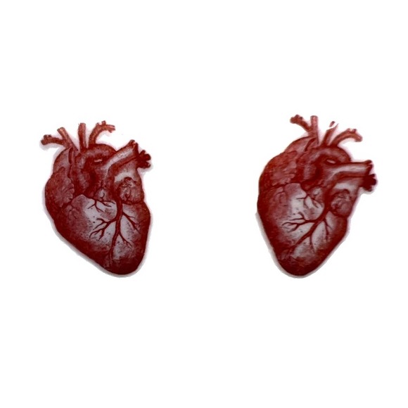 Human heart , detailed earrings. New. Anatomically correct. - Picture 7 of 10